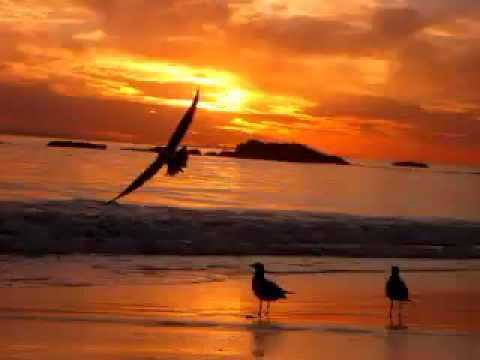 عود ناي تداخل موسيقي جميل