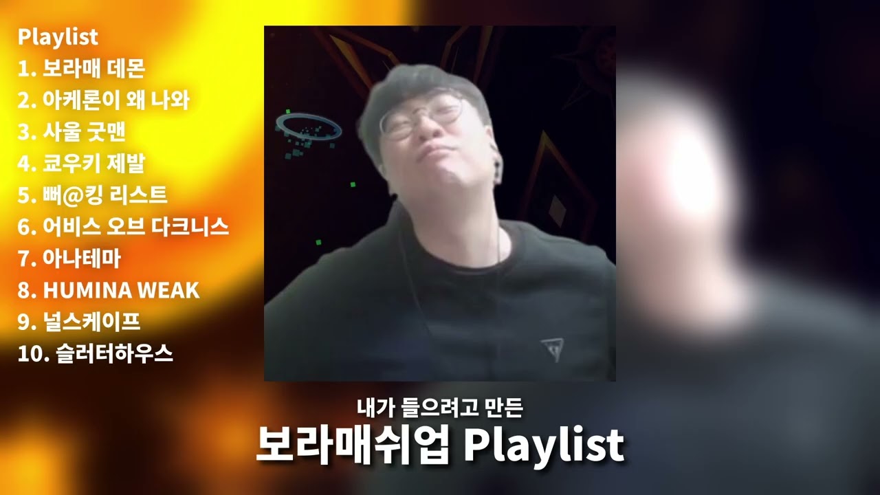 내가 들으려고 만든 보라매쉬업 Playlist (3k Sub Special)
