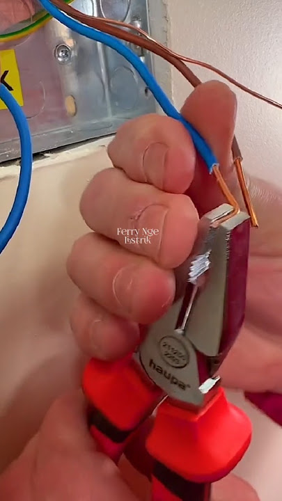 Cuma teknisi listrik profesional yang mengikuti peraturan