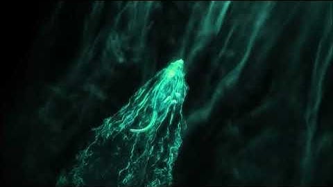 Tiger Running Intro No copyright Free To Use