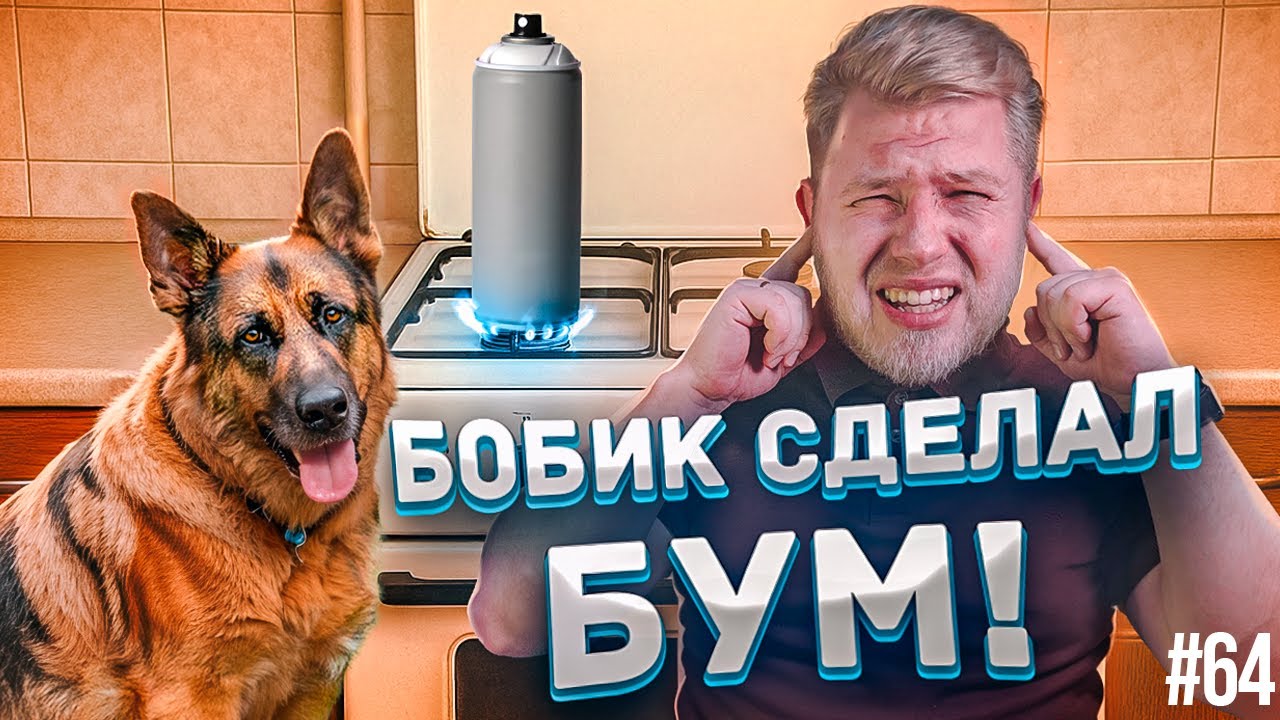 Женщина Халк из Балашихи / Штраф за чокопай / Собака-пиротехник //ЧУВЗП №64
