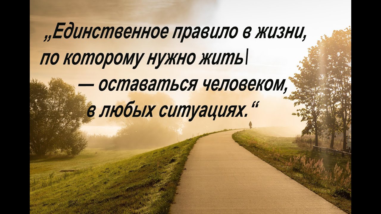 Цитаты и Афоризмы Мудрых Людей,Слова Которые Поражают Своей Мудростью ...