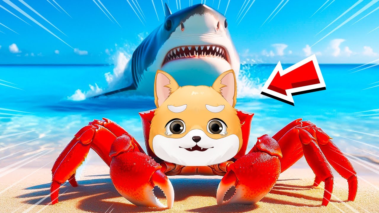 VIATA unui CRAB la Mare 24 ORE!