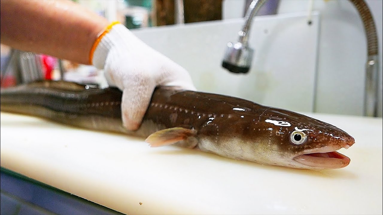 ⁣Korean Street Food - GIANT EEL Sashimi Hotpot Busan Seafood Korea