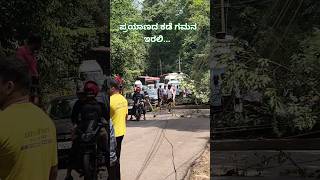 ನಿಡ್ಲೆ ವಿದ್ಯುತ್ ಕಂಬದ ಮೇಲೆ ಮರಬಿದ್ದು roadblock ಕೆಲವೇ ಸಮಯದಲ್ಲಿ ಸಾರ್ವಜನಿಕರು ಹಾಗೂ ವಾಹನ ಚಾಲಕರಿಂದ roadclear