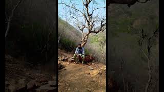 #thak Sa Gaya Hoon Main Baba#short #🚶🚶🚶🥺#