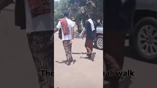Somali Walk Mafia