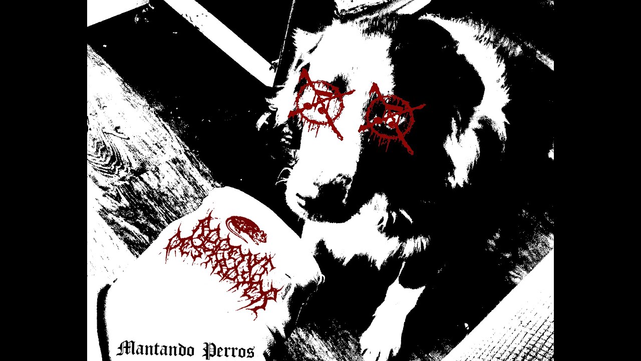 Mantando Perros (SINGLE STREAM)