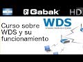 Que es WDS? y como funciona en repetidores Wi-Fi