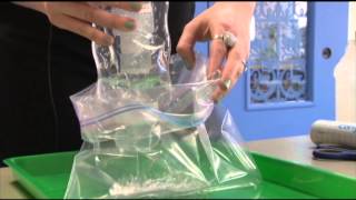 Sensory Bags - Step by Step Instructions DIY