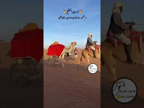 فردية الشقح لمحمد بن غازي بن عبيد المقاطي