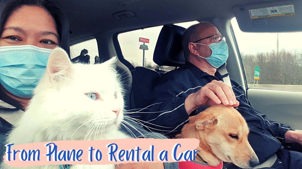 From Plane to Rental Car in DC From Washington Dulles Airport to