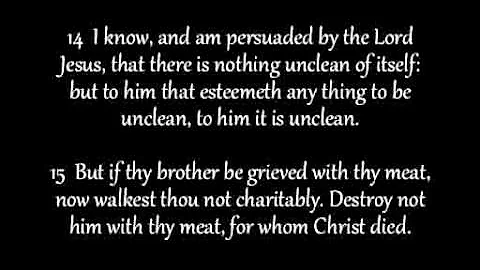 Romans Chapter 14 KJV AV Read Along