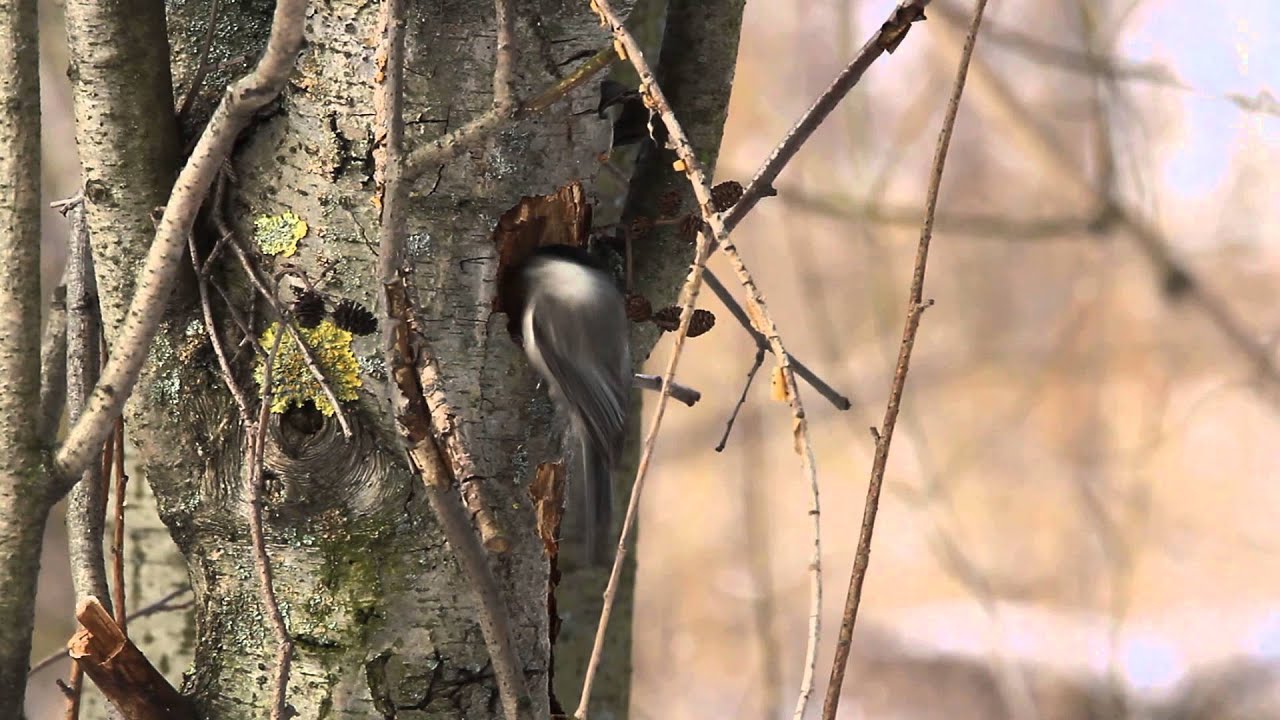 ������� �������� ������ � ����� �����, ���� �������� ����� �������� ������ � ������� ��������