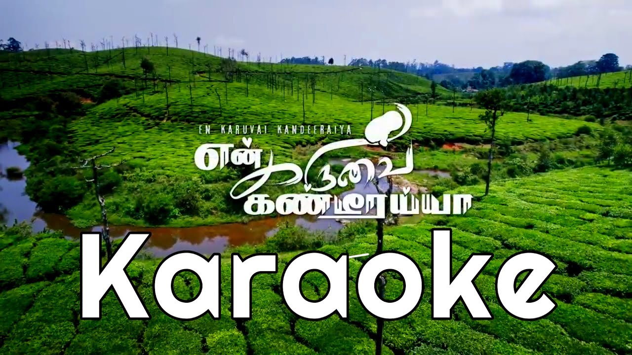 என் கருவை கண்டீரையா / En Karuvai Kandeeraiya Karaoke Lyrics Video I Tamil Christian Song #Aaronbala
