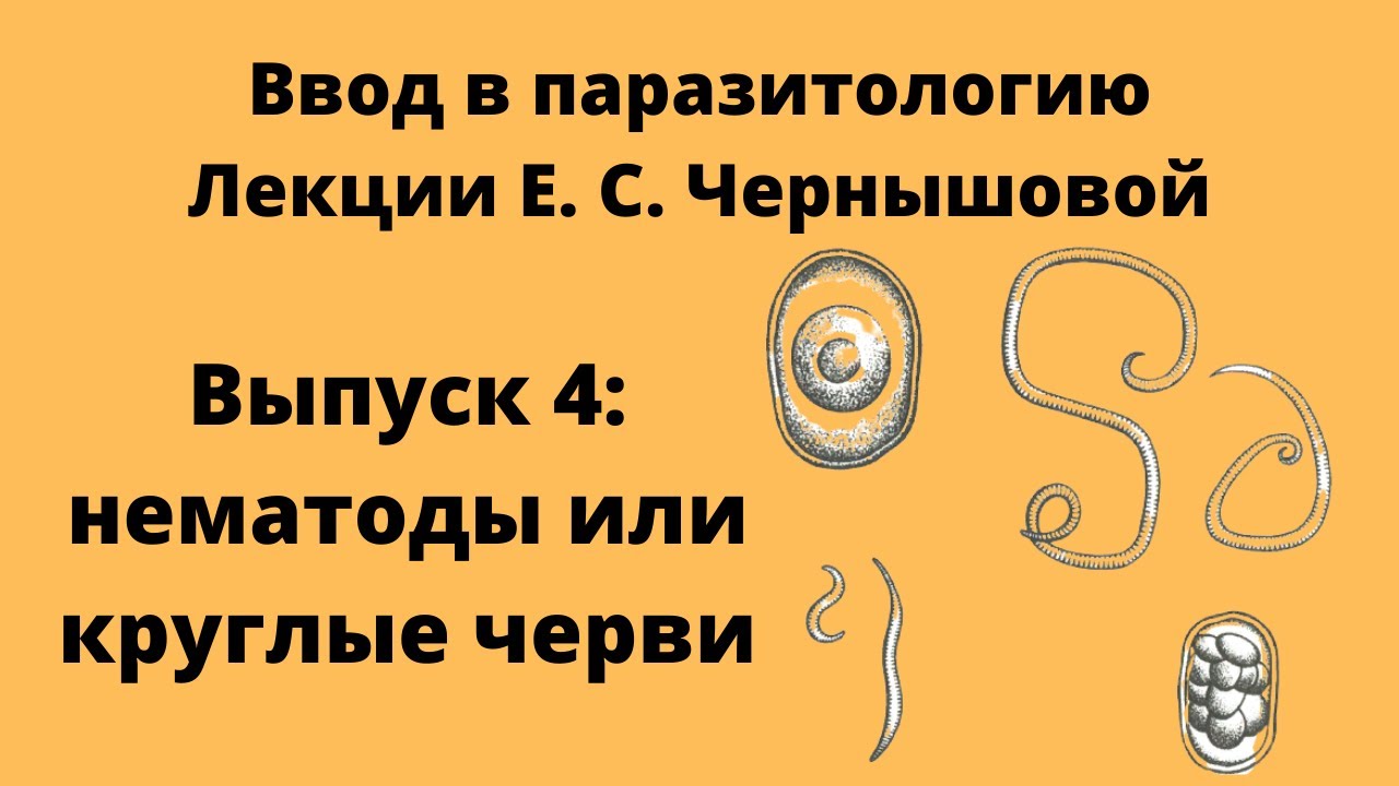 Опасность заражения круглыми червями. Лекция Е.С.Чернышовой. Выпуск 4.