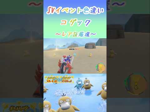 イベント大量発生中のポケモンのレア証色違い厳選!!【ポケモンSV】#ポケモン #コダック #shorts