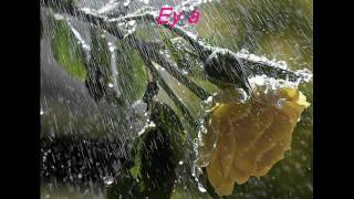 ŞAİR--YENAL KARAVELİOĞLU****ŞİİR---AŞK SANDIKLARIM...