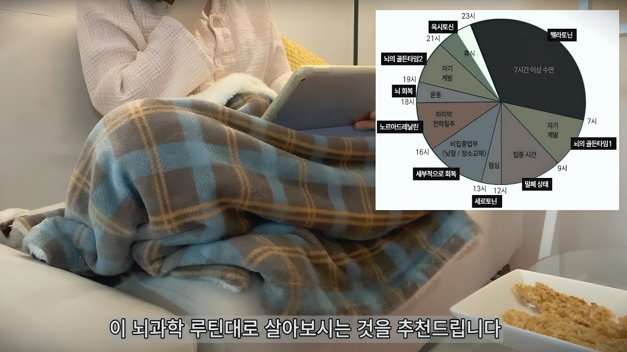 뇌과학 루틴대로 3일간 살아보기 👉🏻 무기력감을 없애는 나만의 루틴 만들기