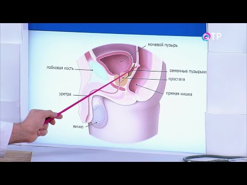 Wideo: Szczepienie DNA Na Raka Prostaty: Kluczowe Pojęcia I Uwagi