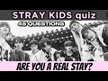 STRAY KIDS Quiz Are You A Real STAY Kpop Game 2025 StrayKids