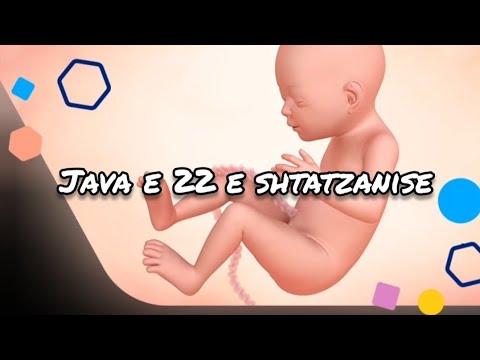 Java e 22 e Shtatzanise. Cfare pritet te ndodhe gjate kesaj jave?
