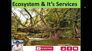 Ecosystem and its services #environment #science #education #ecology #ugcnet #icar #net #study #vlog