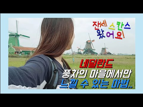 🇳🇱 #53 네덜란드 풍차의 마을에 가다 ㅣ잔세스칸스 여행