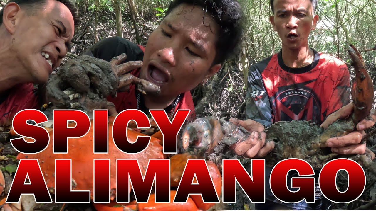 NAKASUWAY NAMUG PANGUHA UG ALIMANGO AGAWN?