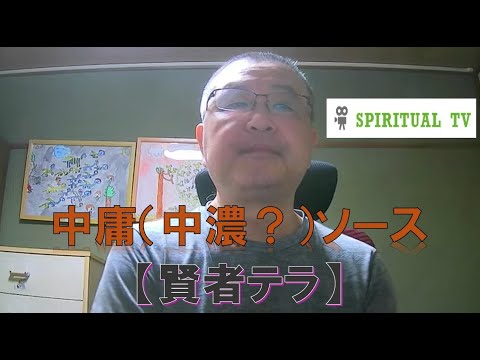 中庸(中濃?)ソース【賢者テラ】