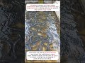 😳🐍Thousands of Eels Moving Together 😳🐍