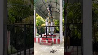India Trip - Temple Hopping #indiatrip #tamil #temple #tamilshorts #villagetemples #shorts