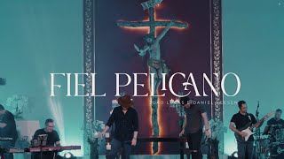 Vídeo de Fiel Pelicano