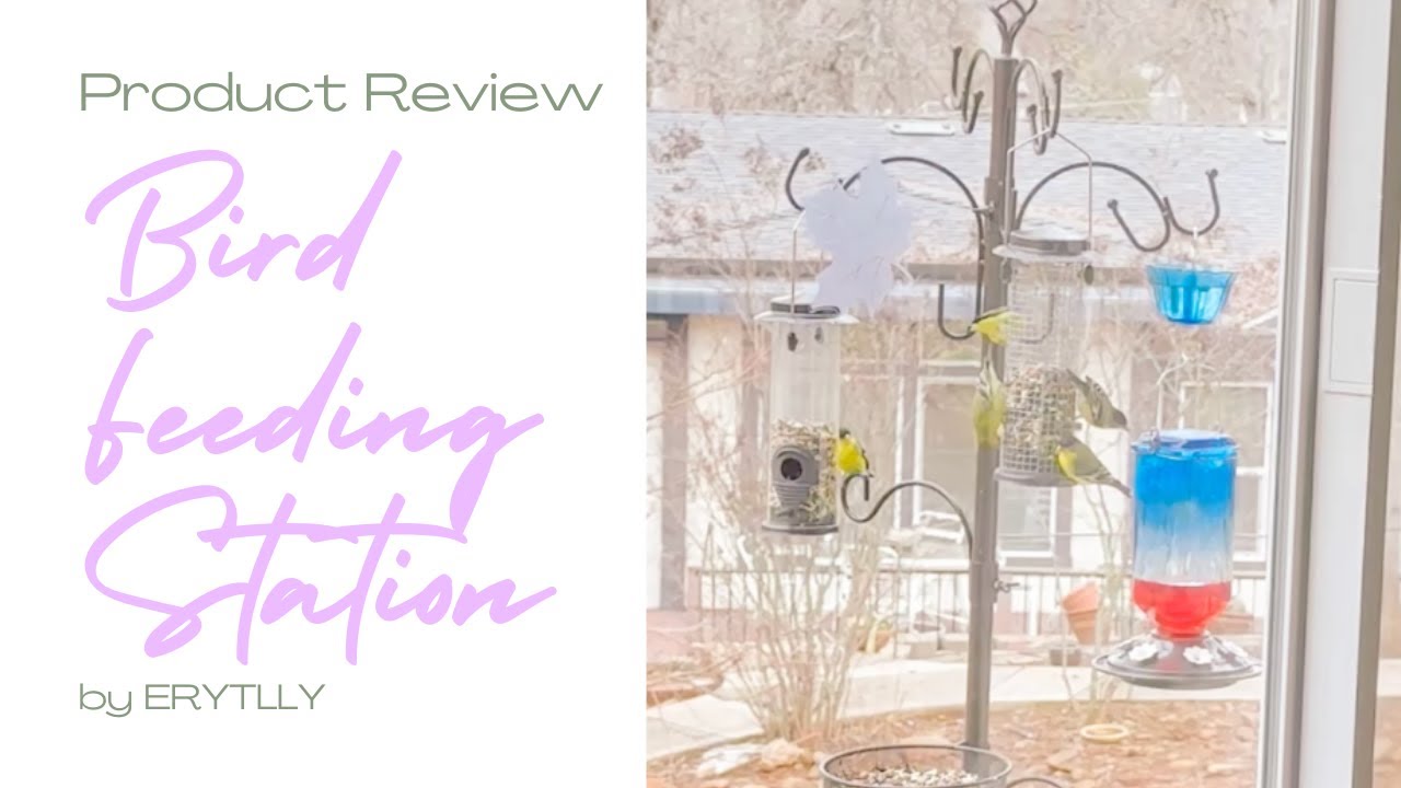 Bird Feeding Station Review - My New Favorite Garden Accessory