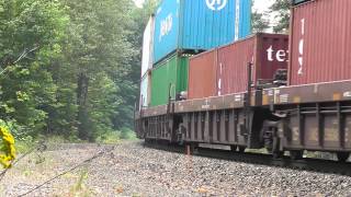 BNSF 6564 leads a stack train