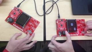 Famous Final Project Presentation - ECE 353 Wealth
