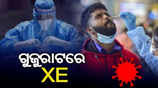 Gujarat has reported its first case of highly transmissible coronavirus variant XE || Kalinga TV