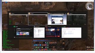 L2 Evolution Server