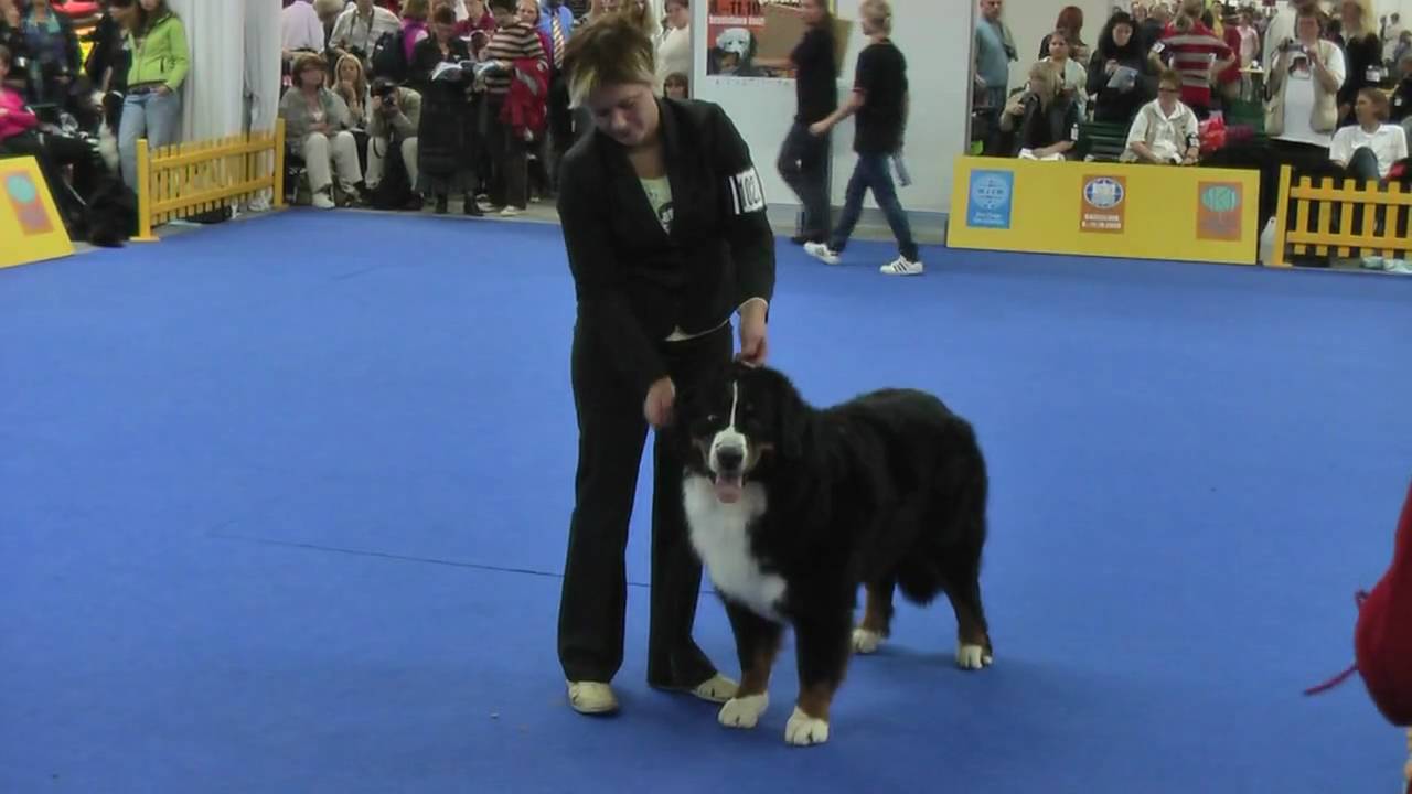 Flames of Steal from Orsina's Land - WDS'09 Bratislava