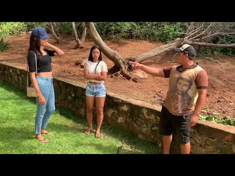 JOÃO DIZ A VANESSA QUE ESSA COCA É FANTA  - JOÃO DIZ A VANESSA QUE ESSA COCA É FANTA 