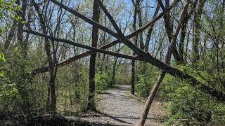 Possible Bigfoot Tree Structure