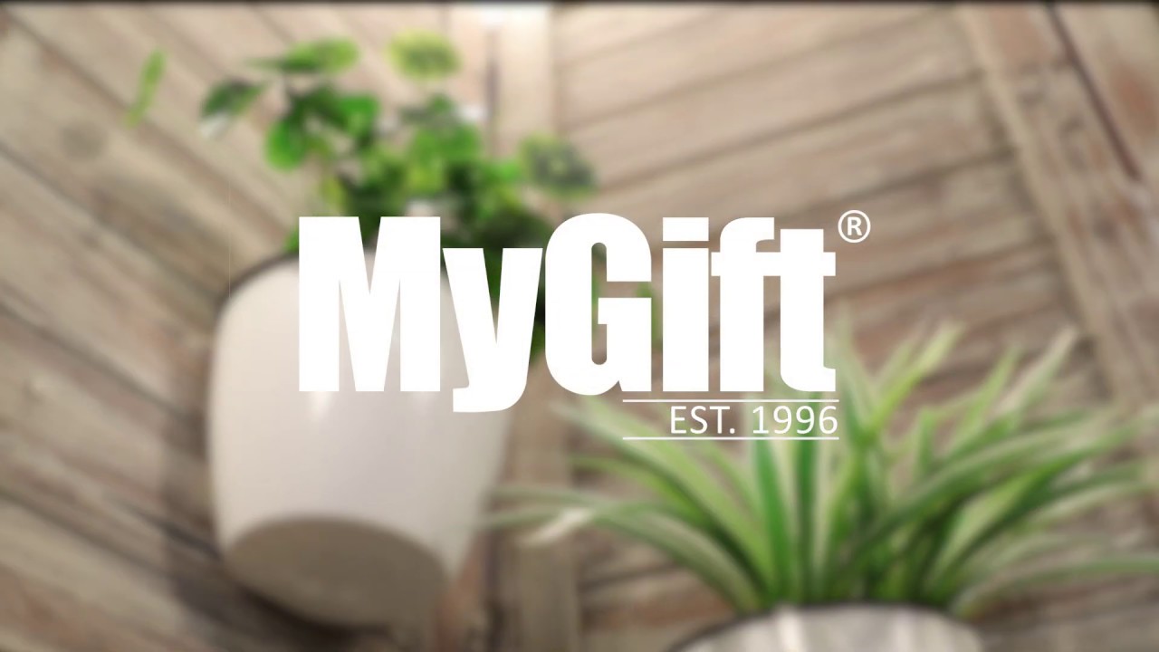 HOME DECOR | Self Watering Planter Pots