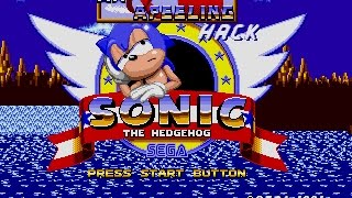 Fan Hack Playthrough: Sonic the Hedgehog an Apeeling Hack