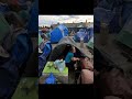 America's Growing Crisis: Understanding Homelessness in 2024