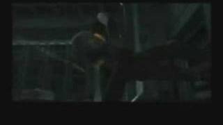 Gray Fox Tribute