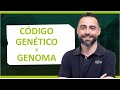 CÓDIGO GENÉTICO X GENOMA