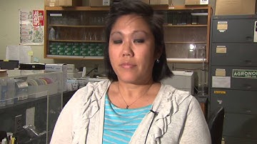 Soil Respiration Overview