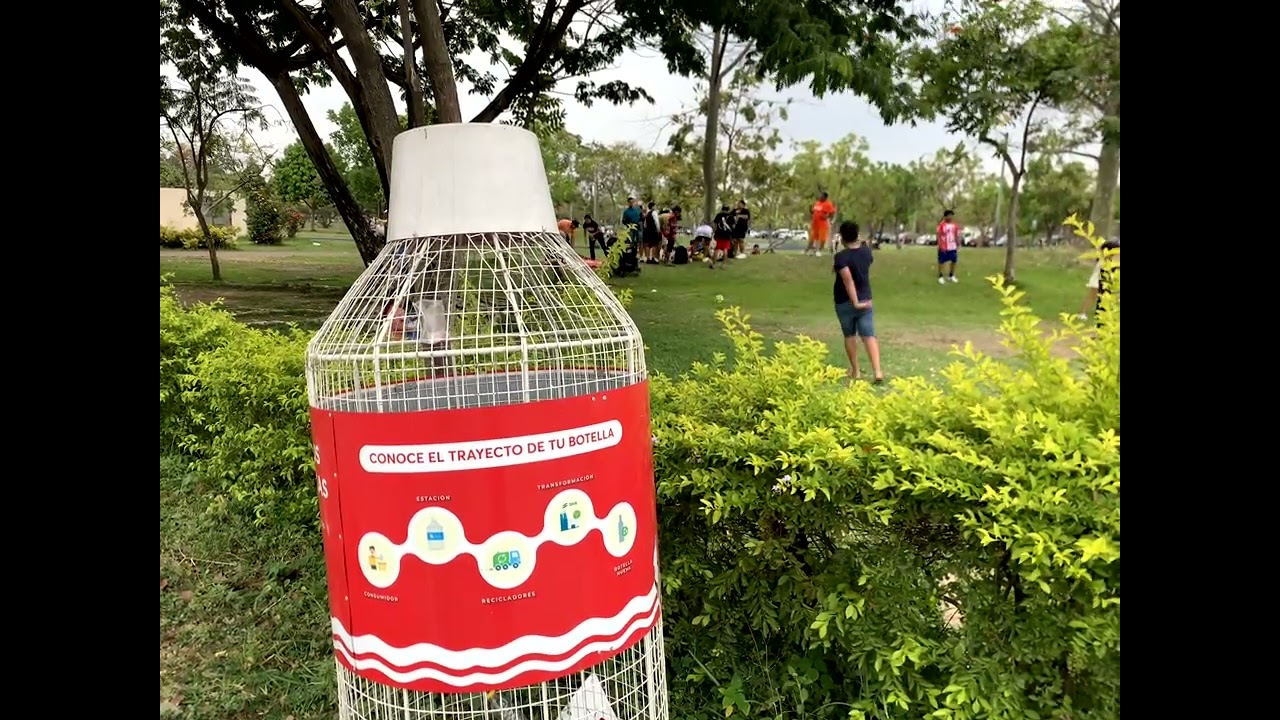 DIA PARQUE SAMANES edicion y montaje primer corte