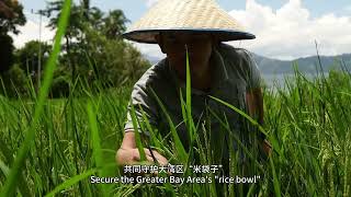 Foshan Master Plan For Territorial Spatial Development 2021-2035佛山市国土空间总体规划2021-2035