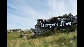 Création du site Youtube de la Bergerie d'Inès - Mouton d'Ouessant